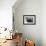 Bearded Seal on Iceberg in the Svalbard Islands-Paul Souders-Framed Photographic Print displayed on a wall