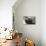 Bearded Seal on Iceberg in the Svalbard Islands-Paul Souders-Photographic Print displayed on a wall