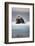 Bearded Seal, on Iceberg, Svalbard, Norway-null-Framed Photographic Print