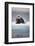 Bearded Seal, on Iceberg, Svalbard, Norway-null-Framed Photographic Print