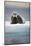 Bearded Seal, on Iceberg, Svalbard, Norway-null-Mounted Photographic Print