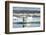 Bearded Seal on Sea Ice in Hudson Bay, Nunavut, Canada-Paul Souders-Framed Photographic Print