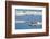 Bearded seal resting on remaining sea ice, Svalbard Islands-Oriol Alamany-Framed Photographic Print