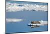 Bearded seal resting on remaining sea ice, Svalbard Islands-Oriol Alamany-Mounted Photographic Print