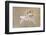 Bearded Tit-Jonas Kazlauskas-Framed Photographic Print