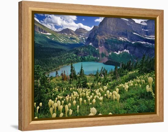 Beargrass above Grinnell Lake, Many Glacier Valley, Glacier National Park, Montana, USA-Chuck Haney-Framed Premier Image Canvas