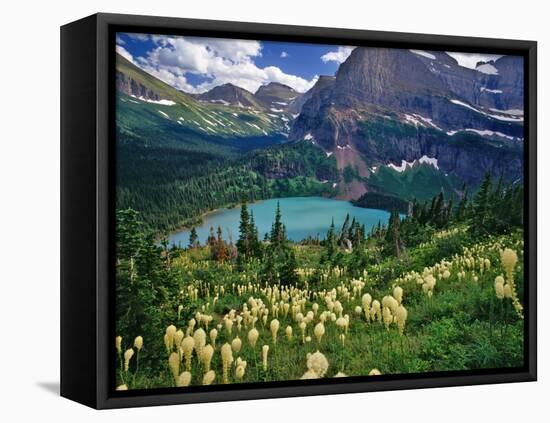 Beargrass above Grinnell Lake, Many Glacier Valley, Glacier National Park, Montana, USA-Chuck Haney-Framed Premier Image Canvas