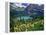 Beargrass above Grinnell Lake, Many Glacier Valley, Glacier National Park, Montana, USA-Chuck Haney-Framed Premier Image Canvas