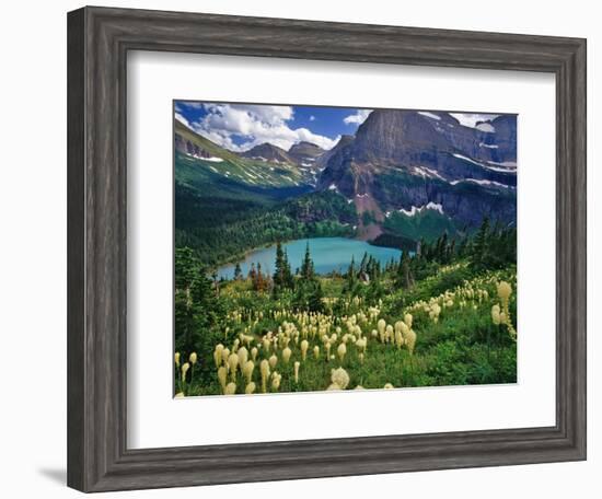 Beargrass above Grinnell Lake, Many Glacier Valley, Glacier National Park, Montana, USA-Chuck Haney-Framed Photographic Print