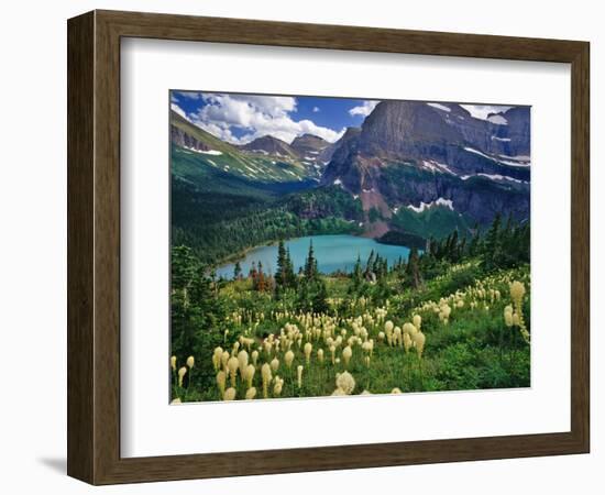 Beargrass above Grinnell Lake, Many Glacier Valley, Glacier National Park, Montana, USA-Chuck Haney-Framed Photographic Print