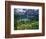 Beargrass above Grinnell Lake, Many Glacier Valley, Glacier National Park, Montana, USA-Chuck Haney-Framed Photographic Print