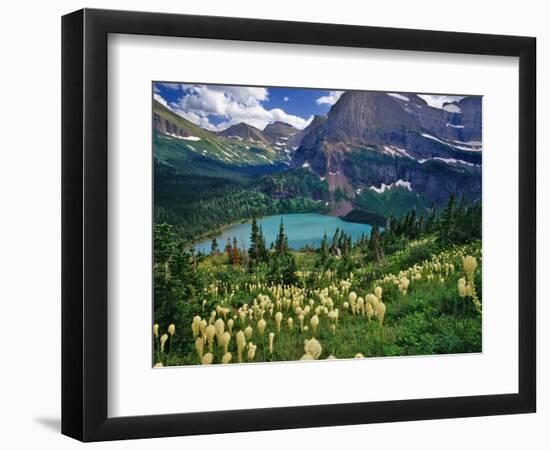 Beargrass above Grinnell Lake, Many Glacier Valley, Glacier National Park, Montana, USA-Chuck Haney-Framed Photographic Print