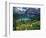 Beargrass above Grinnell Lake, Many Glacier Valley, Glacier National Park, Montana, USA-Chuck Haney-Framed Photographic Print