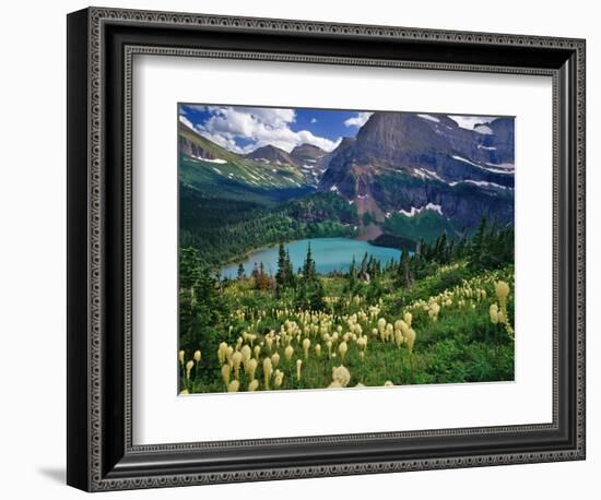 Beargrass above Grinnell Lake, Many Glacier Valley, Glacier National Park, Montana, USA-Chuck Haney-Framed Photographic Print