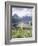 Beargrass, Hidden Lake and Mount Reynolds, Glacier National Park, Montana, USA-Geoff Renner-Framed Photographic Print