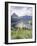 Beargrass, Hidden Lake and Mount Reynolds, Glacier National Park, Montana, USA-Geoff Renner-Framed Photographic Print