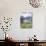 Beargrass, Hidden Lake and Mount Reynolds, Glacier National Park, Montana, USA-Geoff Renner-Photographic Print displayed on a wall