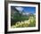 Beargrass Near Logan Pass in Gacier National Park, Montana, Usa-Chuck Haney-Framed Photographic Print