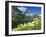 Beargrass Near Logan Pass in Gacier National Park, Montana, Usa-Chuck Haney-Framed Photographic Print