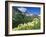 Beargrass Near Logan Pass in Gacier National Park, Montana, Usa-Chuck Haney-Framed Photographic Print