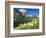 Beargrass Near Logan Pass in Gacier National Park, Montana, Usa-Chuck Haney-Framed Photographic Print