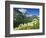 Beargrass Near Logan Pass in Gacier National Park, Montana, Usa-Chuck Haney-Framed Photographic Print