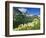 Beargrass Near Logan Pass in Gacier National Park, Montana, Usa-Chuck Haney-Framed Photographic Print