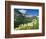 Beargrass Near Logan Pass in Gacier National Park, Montana, Usa-Chuck Haney-Framed Photographic Print