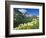 Beargrass Near Logan Pass in Gacier National Park, Montana, Usa-Chuck Haney-Framed Photographic Print