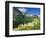 Beargrass Near Logan Pass in Gacier National Park, Montana, Usa-Chuck Haney-Framed Photographic Print