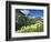 Beargrass Near Logan Pass in Gacier National Park, Montana, Usa-Chuck Haney-Framed Photographic Print