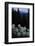 Beargrass under a Full Moon. Swan Range, Montana-Steven Gnam-Framed Photographic Print