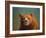 Bearish-James W. Johnson-Framed Giclee Print