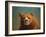 Bearish-James W. Johnson-Framed Giclee Print