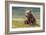 Bearly Awake (Brown Bear Cub)-Art Wolfe-Framed Giclee Print