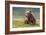 Bearly Awake (Brown Bear Cub)-Art Wolfe-Framed Giclee Print