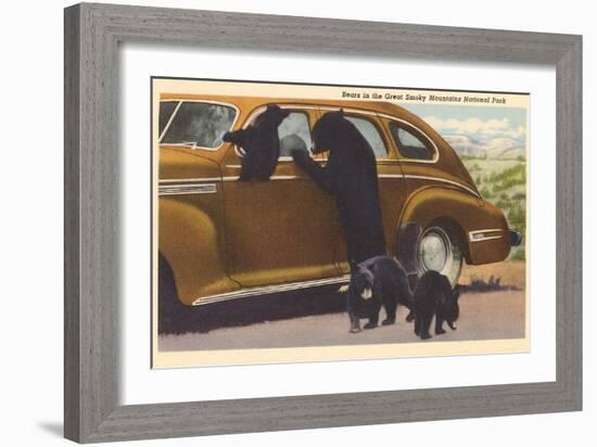 Bears at Car, Great Smoky Mountains-null-Framed Art Print