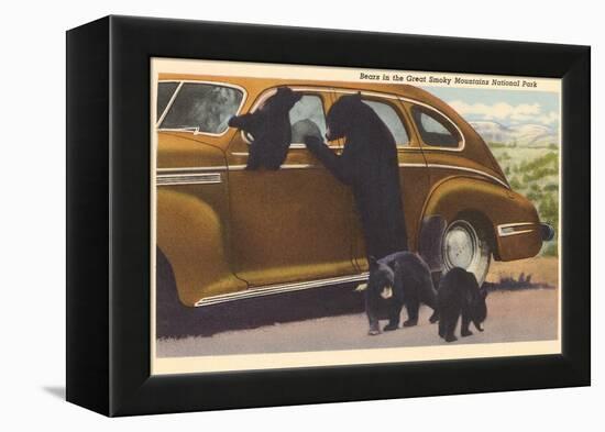 Bears at Car, Great Smoky Mountains-null-Framed Stretched Canvas