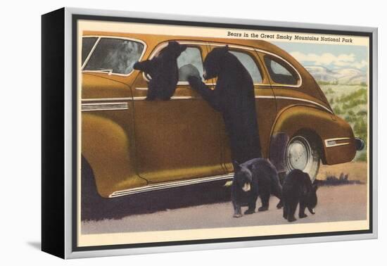 Bears at Car, Great Smoky Mountains-null-Framed Stretched Canvas