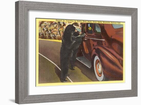 Bears at Car, Smoky Mountains, North Carolina-null-Framed Premium Giclee Print