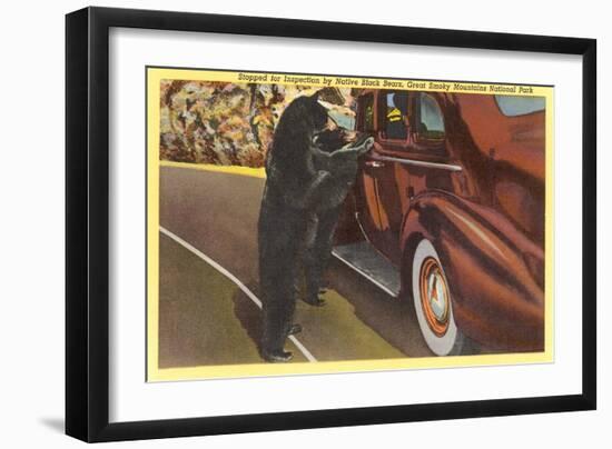 Bears at Car, Smoky Mountains, North Carolina-null-Framed Art Print