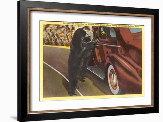 Bears at Car, Smoky Mountains, North Carolina-null-Framed Art Print