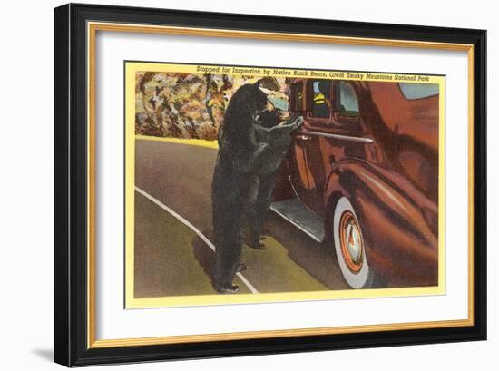 Bears at Car, Smoky Mountains, North Carolina-null-Framed Art Print