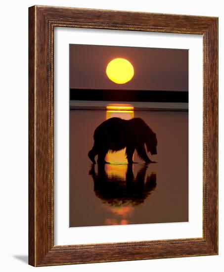 Bears at Play I-PHBurchett-Framed Art Print