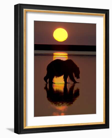 Bears at Play I-PHBurchett-Framed Art Print