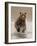 Bears at Play II-PHBurchett-Framed Art Print