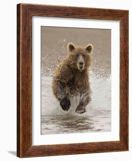 Bears at Play II-PHBurchett-Framed Art Print