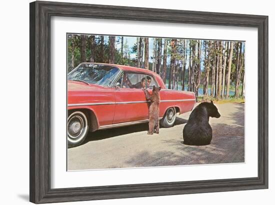 Bears Begging at Car-null-Framed Art Print