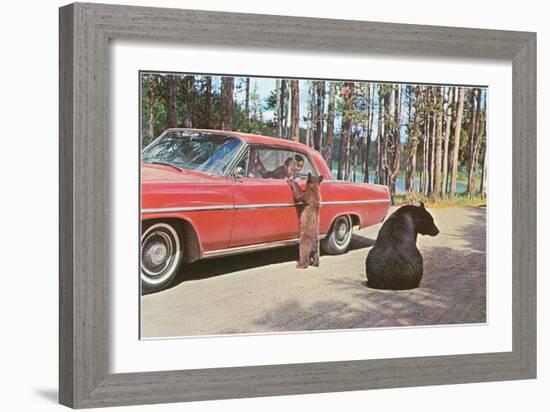 Bears Begging at Car-null-Framed Art Print