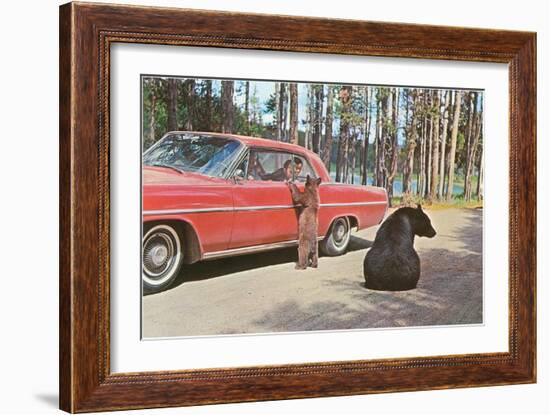 Bears Begging at Car-null-Framed Art Print